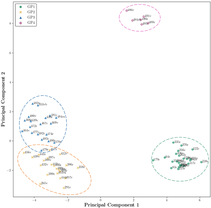 Graphic Profile Discovery: Combining PCA plot